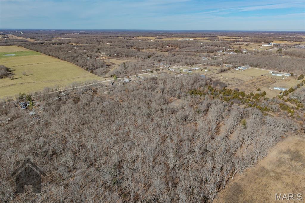 16632 Nickel Drive Phillipsburg, MO 65722 - Photo 56 of 60