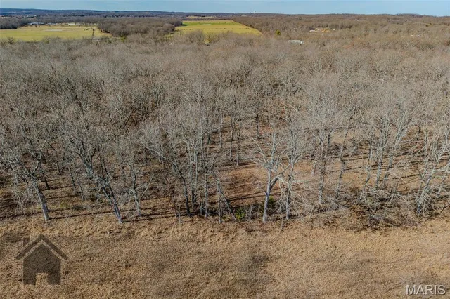 $239,900 | 16632 Nickel Drive, Phillipsburg, MO 65722