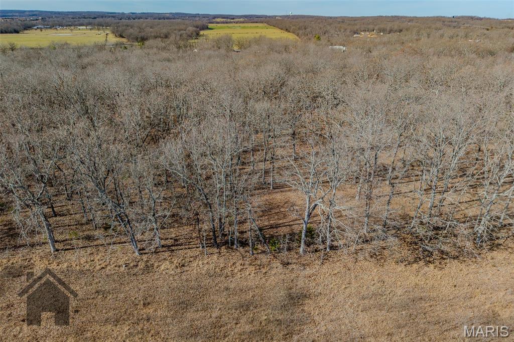 16632 Nickel Drive Phillipsburg, MO 65722 - Photo 60 of 60