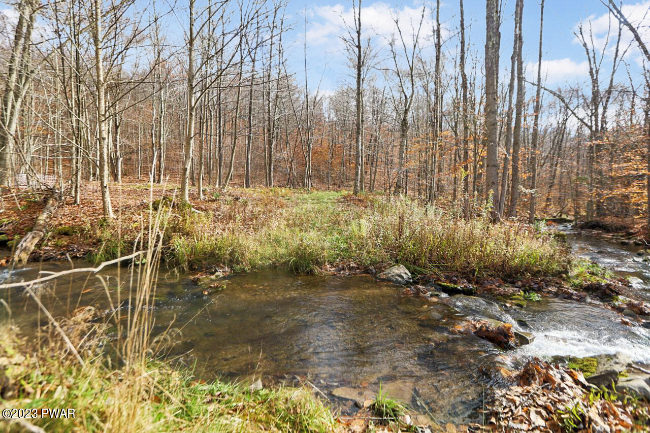 598 Ravnikar Road Forest City, PA 18421 - Photo 36 of 39 Stream