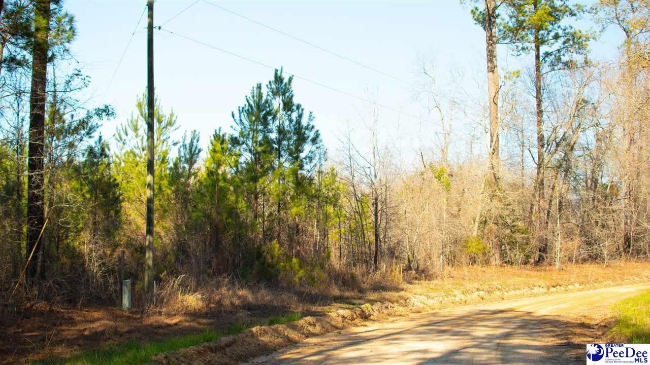 0 Henry Road Greeleyville, SC 29056 - Photo 4 of 10 Gallery Image 4