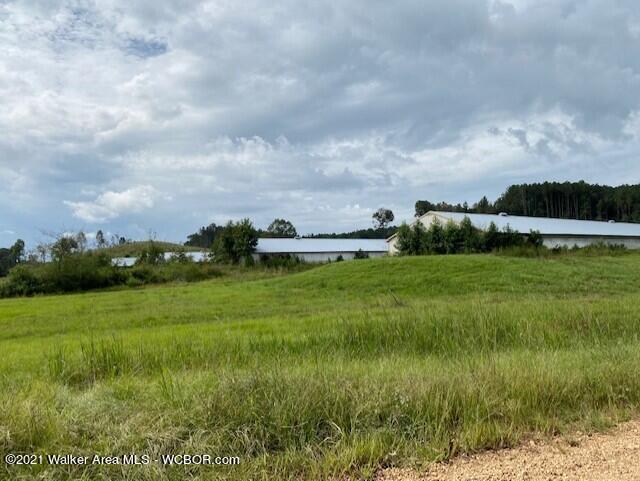 2036 Dodson Road Winfield, AL 35594 - Photo 8 of 37 Gallery Image 8