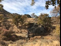 Delaware Place Tehachapi, CA 93561 - Photo 14 of 25 IMG_3859