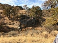 Delaware Place Tehachapi, CA 93561 - Photo 5 of 25 FullSizeR(2)