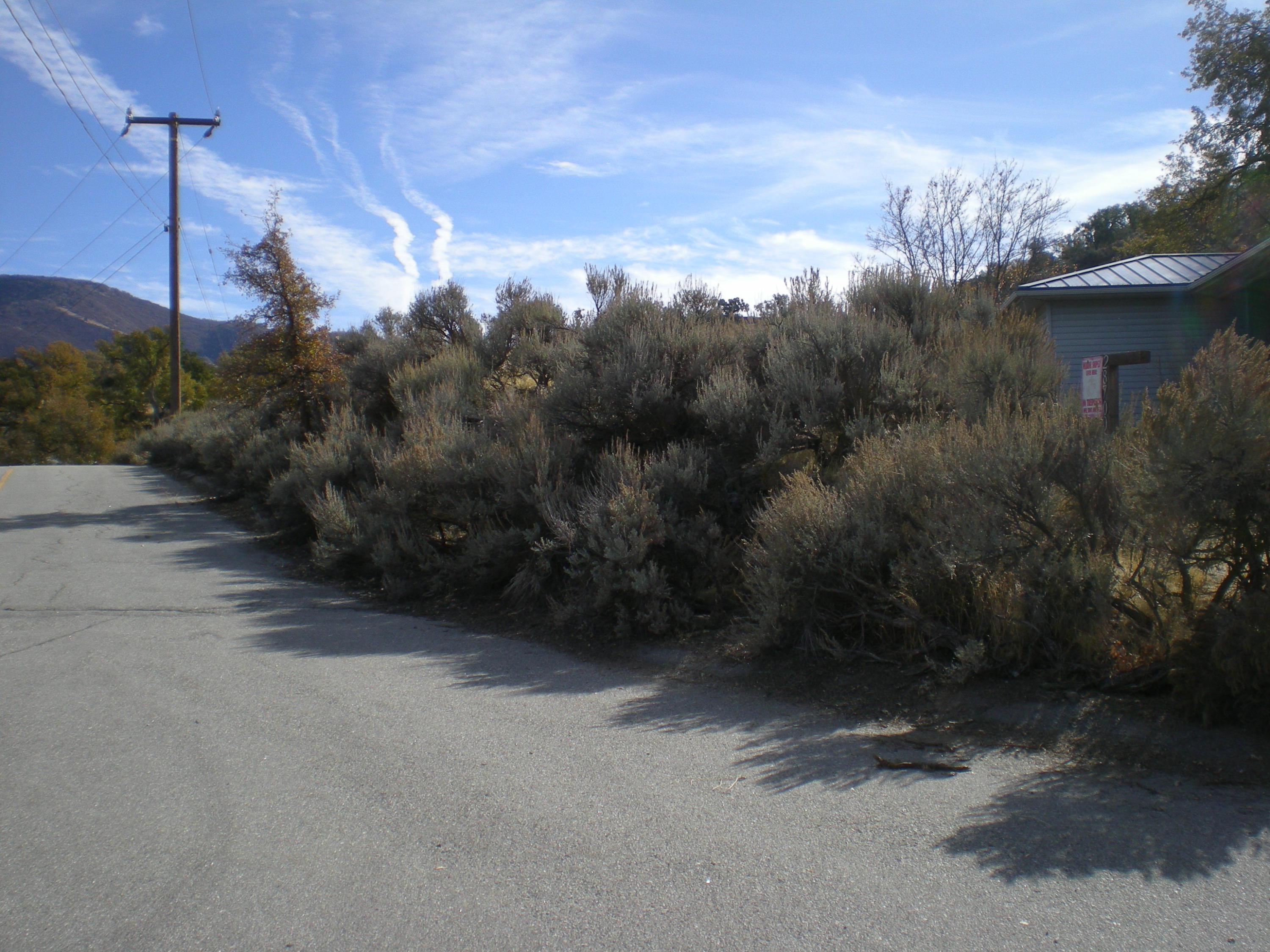 Delaware Place Tehachapi, CA 93561 - Photo 8 of 25 Driveway 2