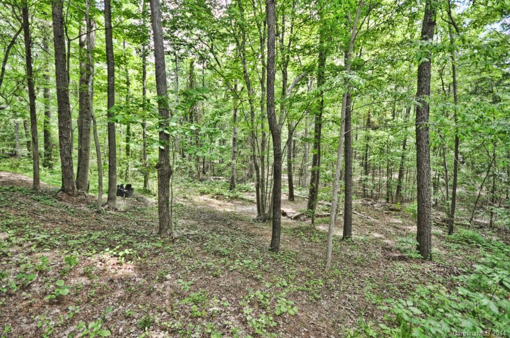 31017 Executive Point Tega Cay, SC 29708 - Photo 19 of 22 a view of outdoor space and trees