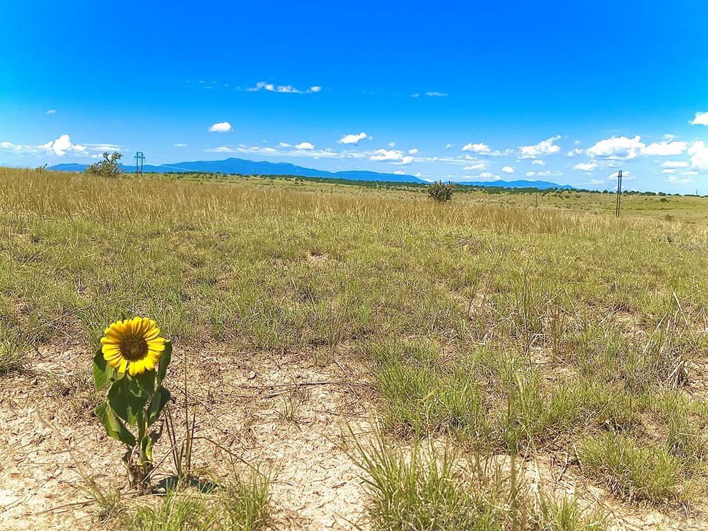 Tbd Tbd Schmitt Road Rye, CO 81069 - Photo 13 of 34 a view of a pool a fire pit and outdoor seating