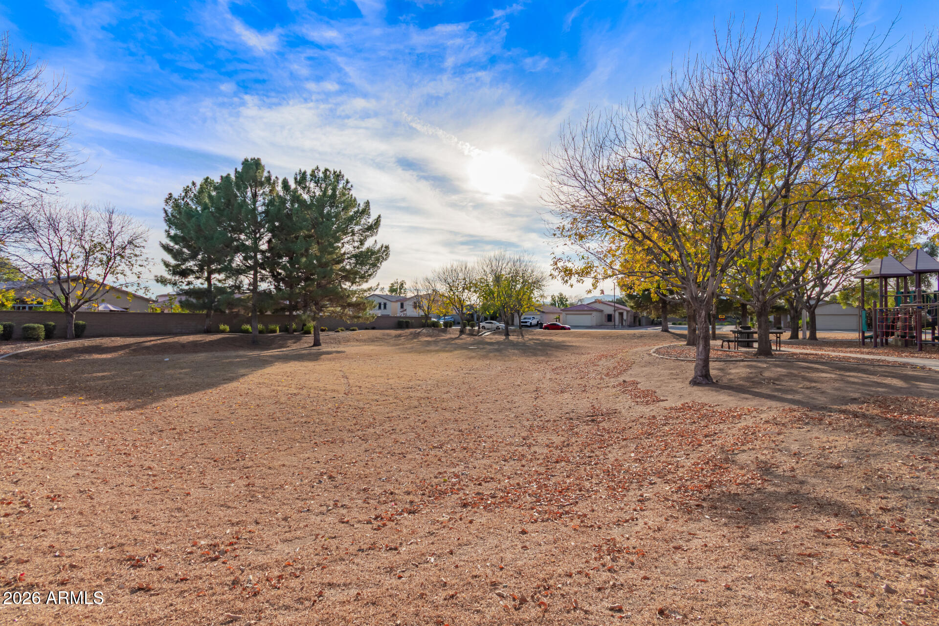 16805 West Rimrock Street Surprise, AZ 85388 - Photo 37 of 42 a view of dirt yard with a large tree