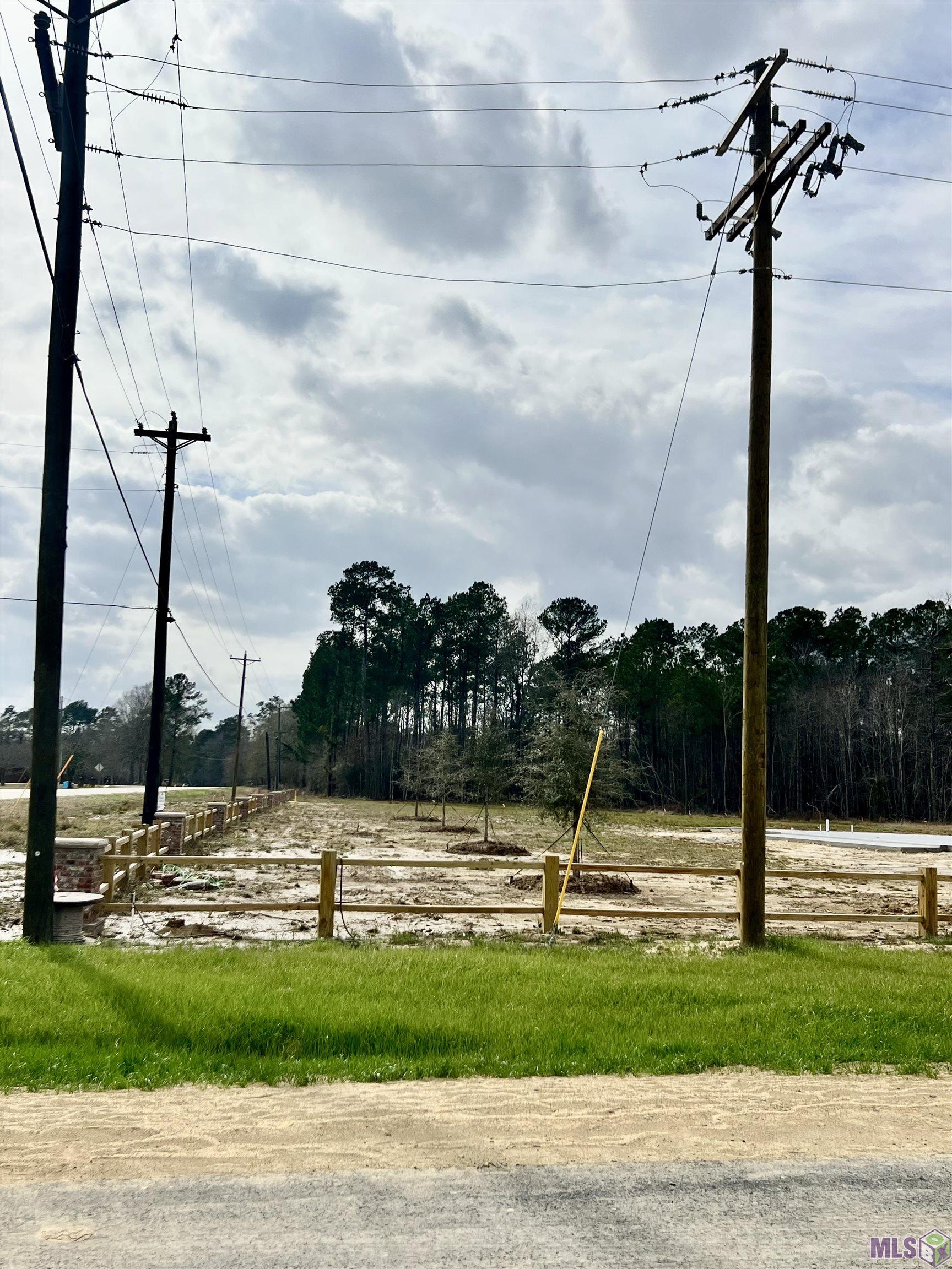 Lot 23 Copper Pass Livingston, LA 70754 - Photo 4 of 18