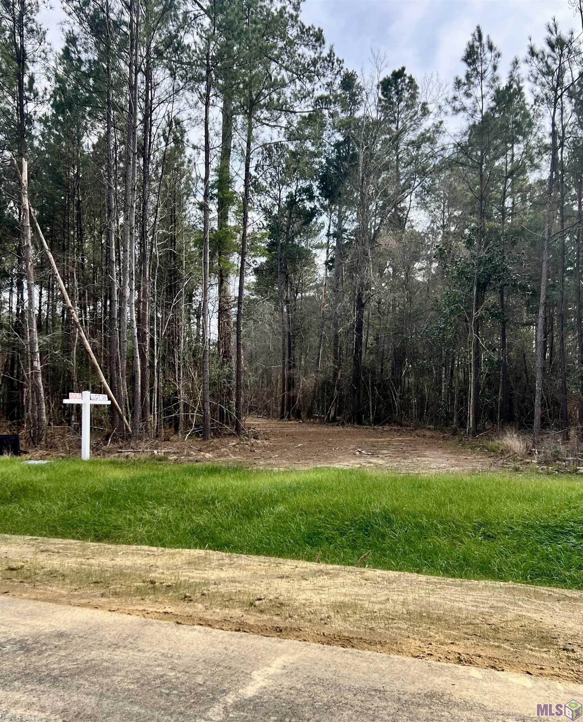 Lot 23 Copper Pass Livingston, LA 70754 - Photo 9 of 18