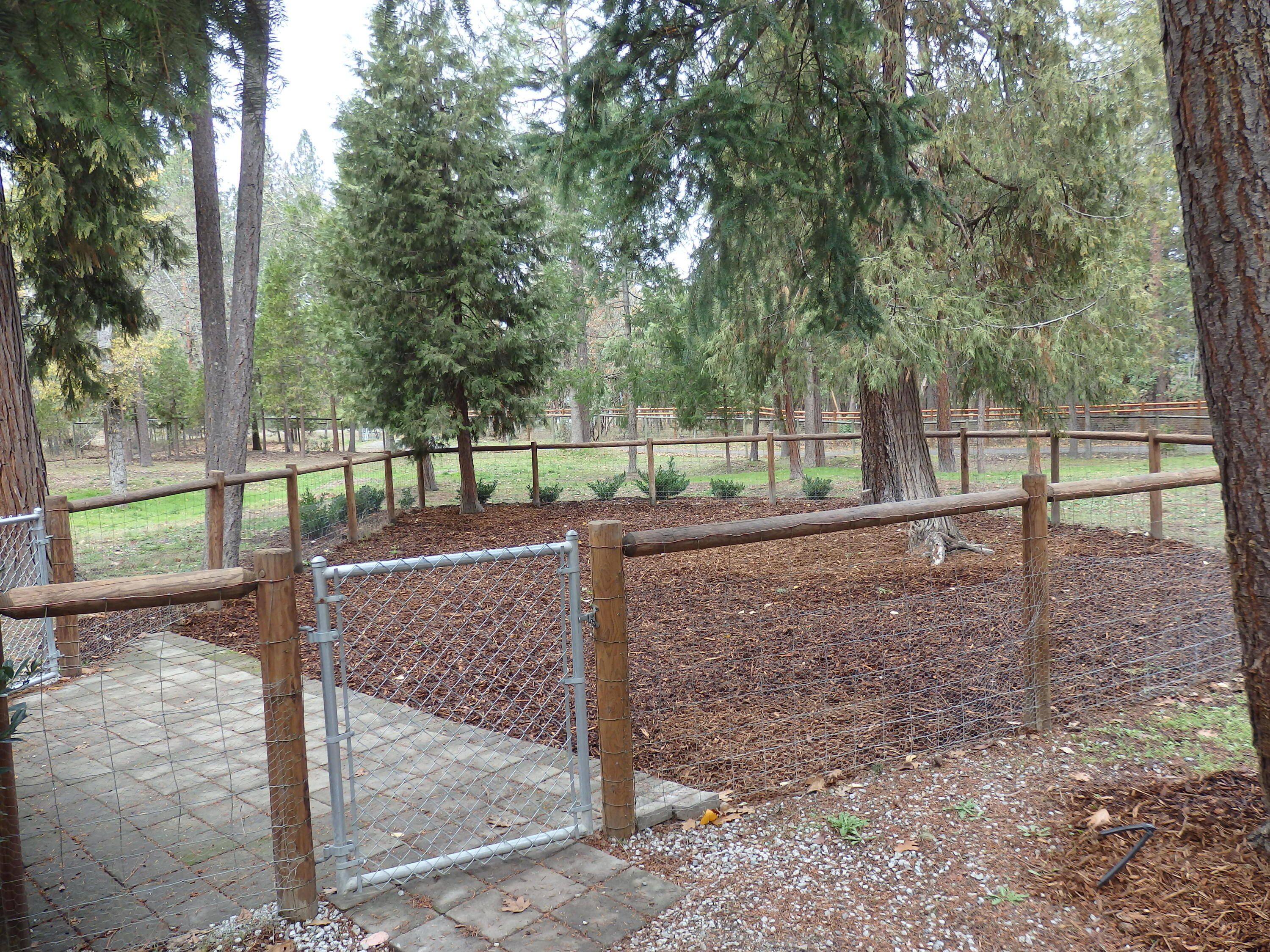 3757 New Hope Road Grants Pass, OR 97527 - Photo 10 of 16 Dog Run 1