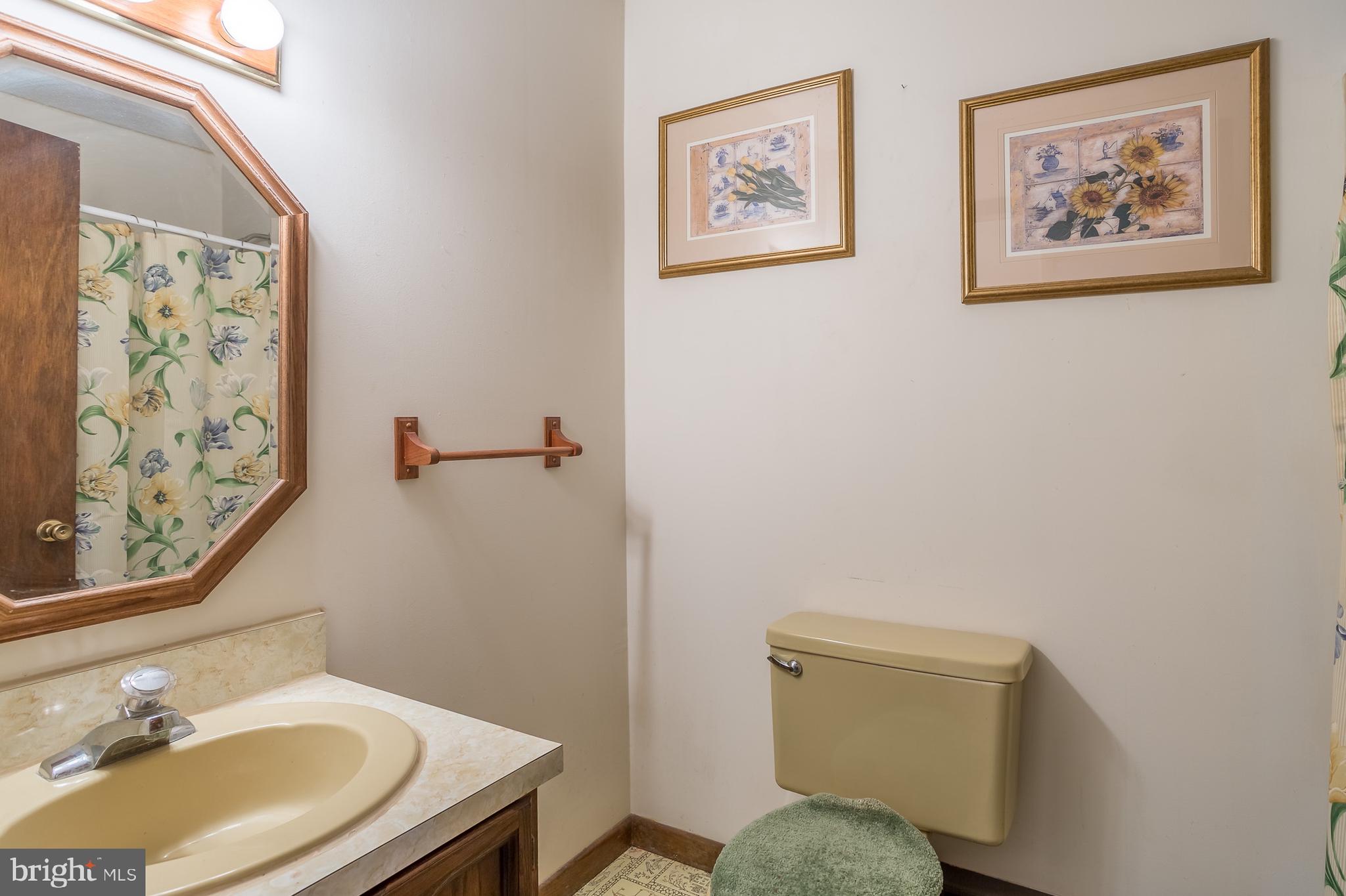 22650 Dorman Road Lewes, DE 19958 - Photo 10 of 33 Hall bath