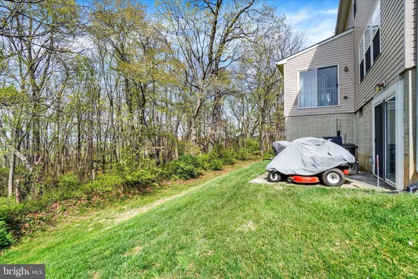 a view of yard with green space and trees
