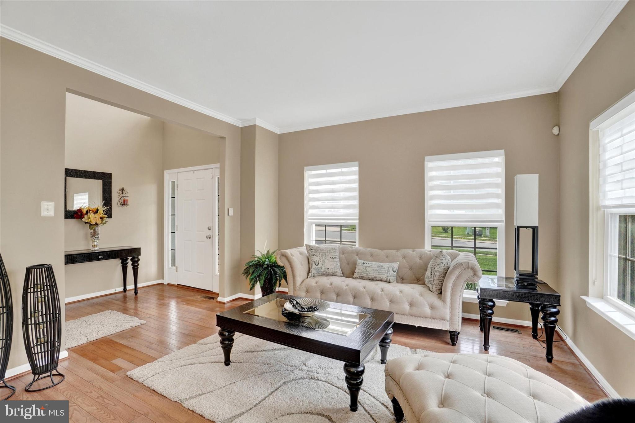 1015 Nugent Way York, PA 17402 - Photo 6 of 46 a living room with furniture and a potted plant