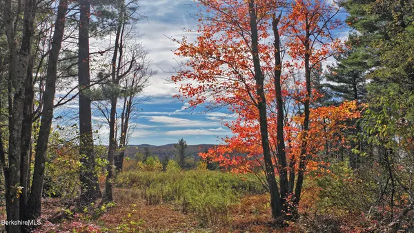 a view of a yard in a yard