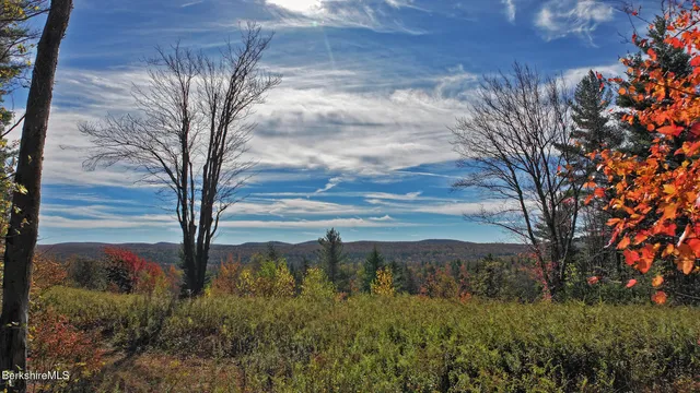 a view of a forest with mountains in the background