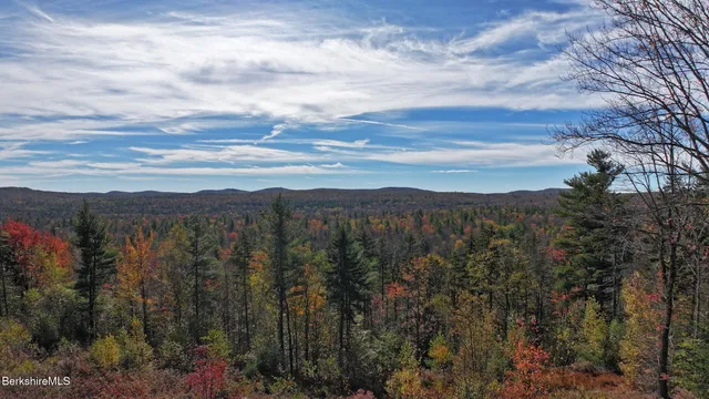 a view of a city with mountains in the background