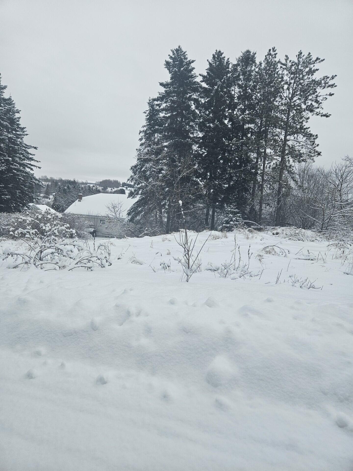 34 High Street Limestone, ME 04750 - Photo 1 of 2 34 High 01