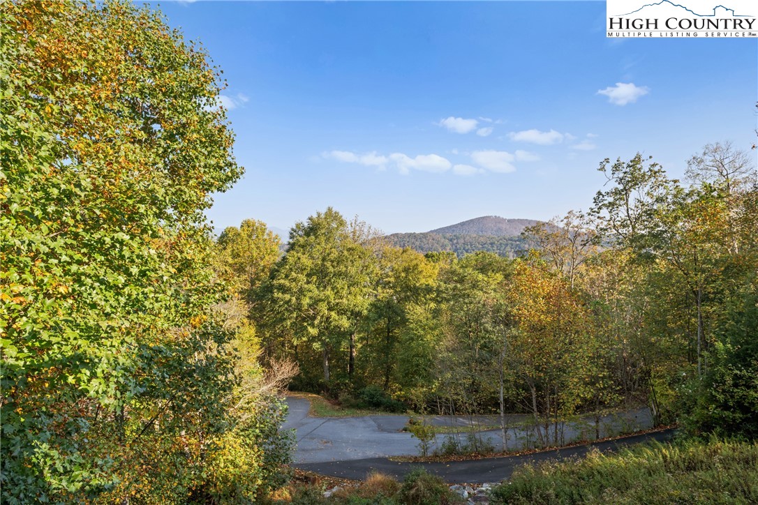 710 Milton Brown Heirs Road Boone, NC 28607 - Photo 13 of 45 Gallery Image 13