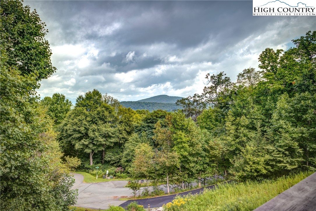 710 Milton Brown Heirs Road Boone, NC 28607 - Photo 5 of 45 Gallery Image 5