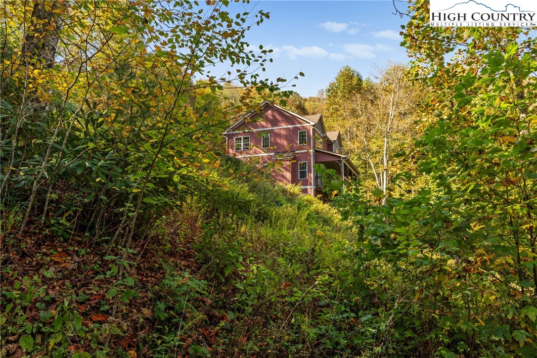 710 Milton Brown Heirs Road Boone, NC 28607 - Photo 6 of 45 Gallery Image 6