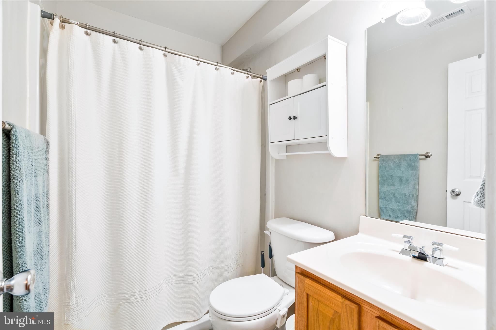 2442 Rippling Brook Road Frederick, MD 21701 - Photo 49 of 85 a bathroom with a sink a toilet and a mirror