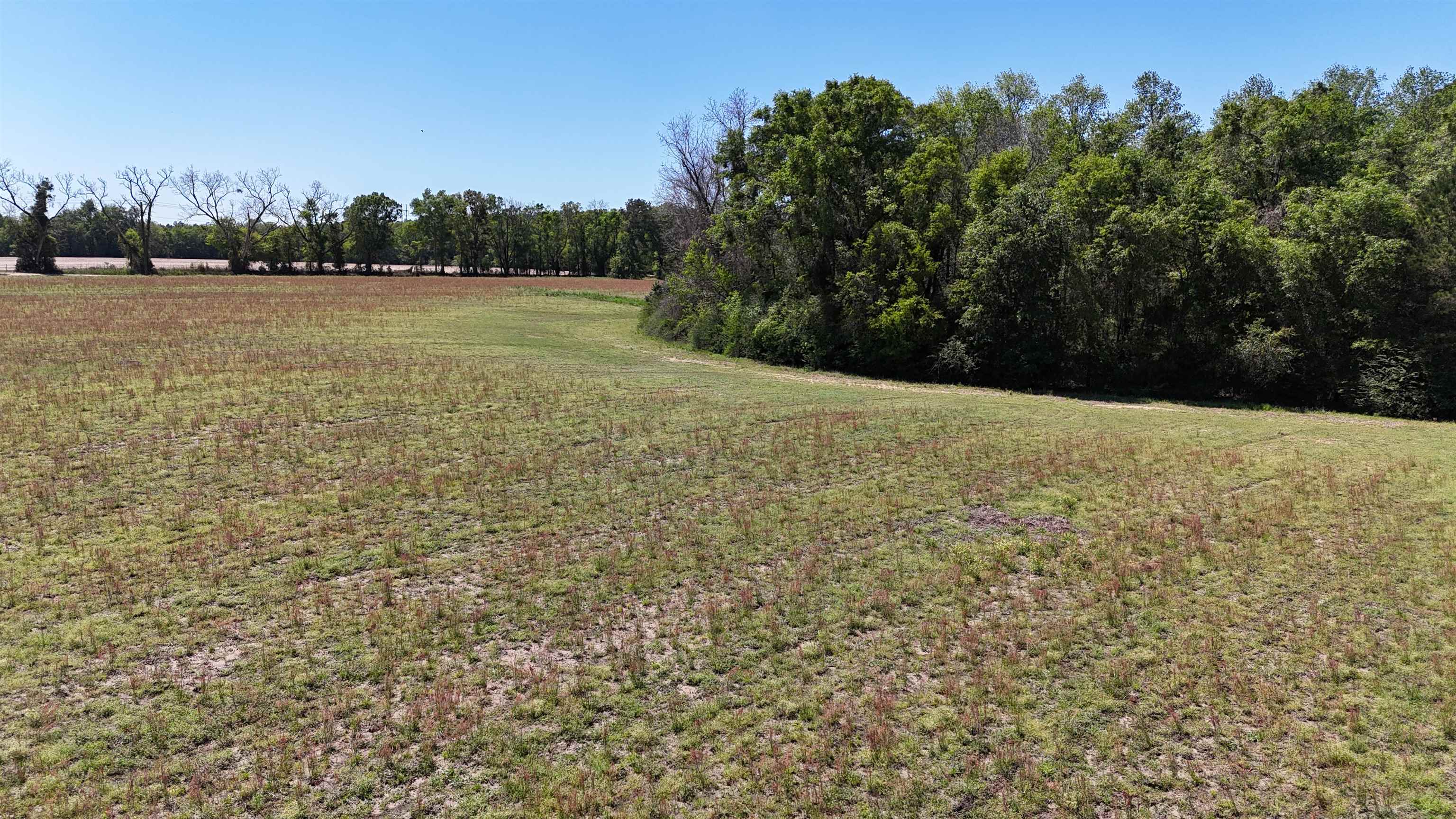1975 Rook Road Ochlocknee, GA 31773 - Photo 31 of 42