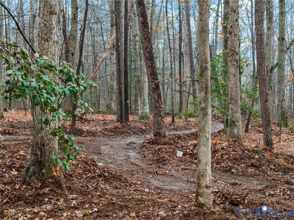 148 North Courthouse Road North Chesterfield, VA 23236 - Photo 59 of 65