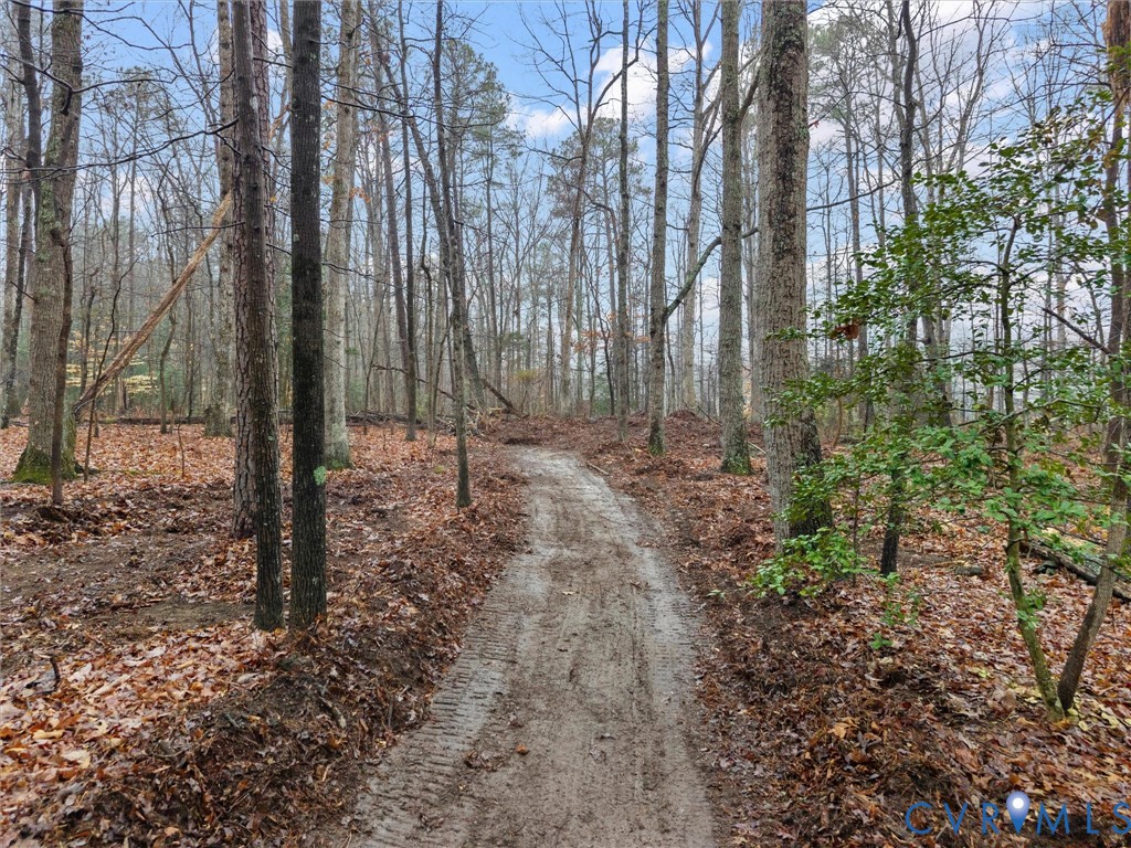 148 North Courthouse Road North Chesterfield, VA 23236 - Photo 61 of 65