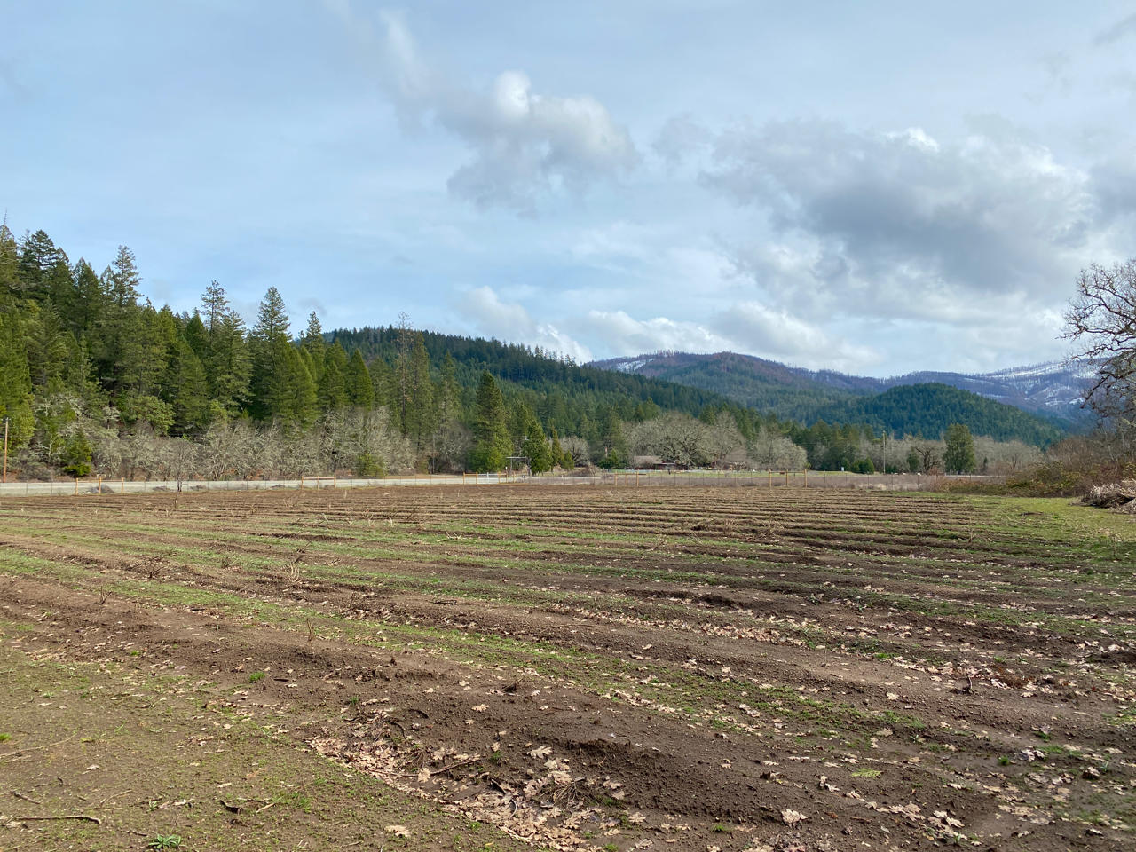 7440 Takilma Road Cave Junction, OR 97523 - Photo 32 of 36 second garden