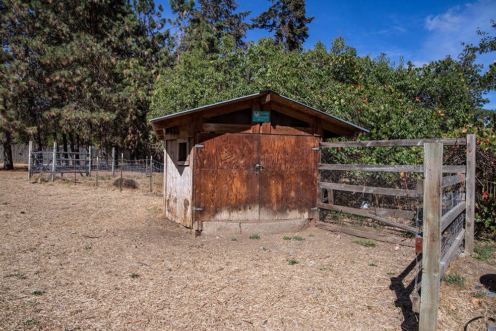 1690 Cedar Flat Road Williams, OR 97544 - Photo 30 of 39 28