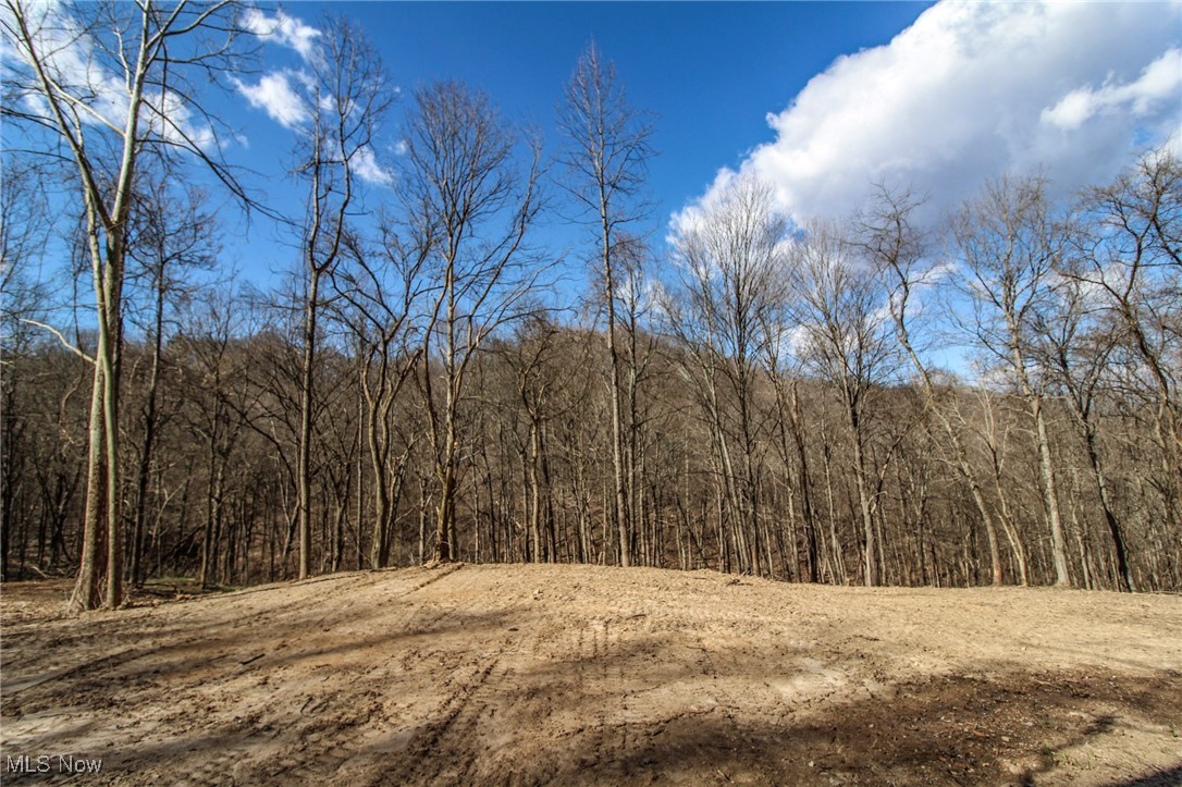 Elk Run Road New Matamoras, OH 45767 - Photo 6 of 27 View of local wilderness