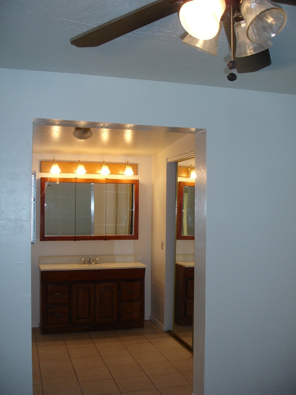 225 South Starr Road Apache Junction, AZ 85119 - Photo 11 of 16 Master bathroom