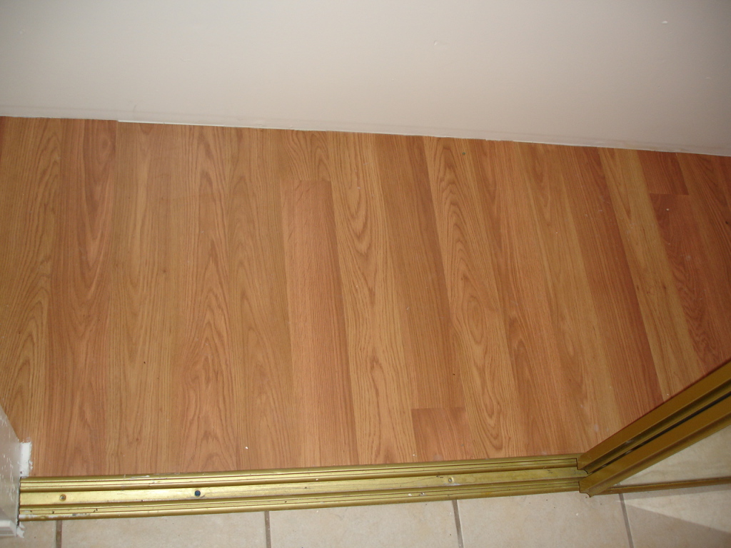 225 South Starr Road Apache Junction, AZ 85119 - Photo 16 of 16 Closet floors
