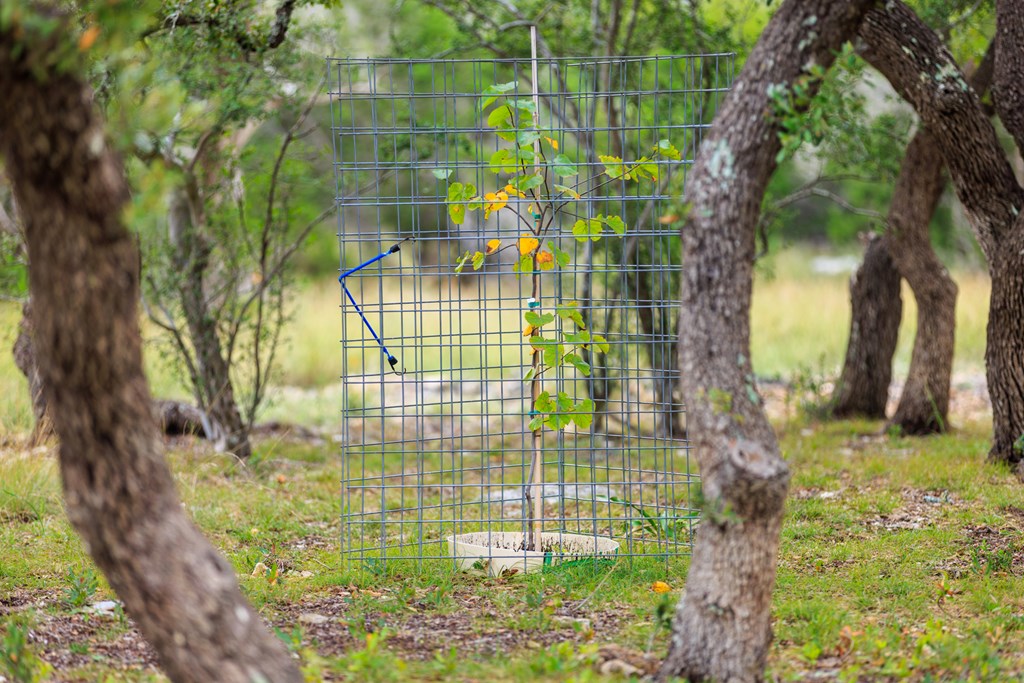 456 Colt Valley Road Fredericksburg, TX 78624 - Photo 37 of 46 a view of a garden