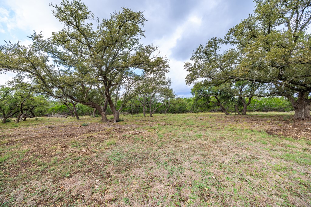 456 Colt Valley Road Fredericksburg, TX 78624 - Photo 40 of 46 a view of a yard with a tree
