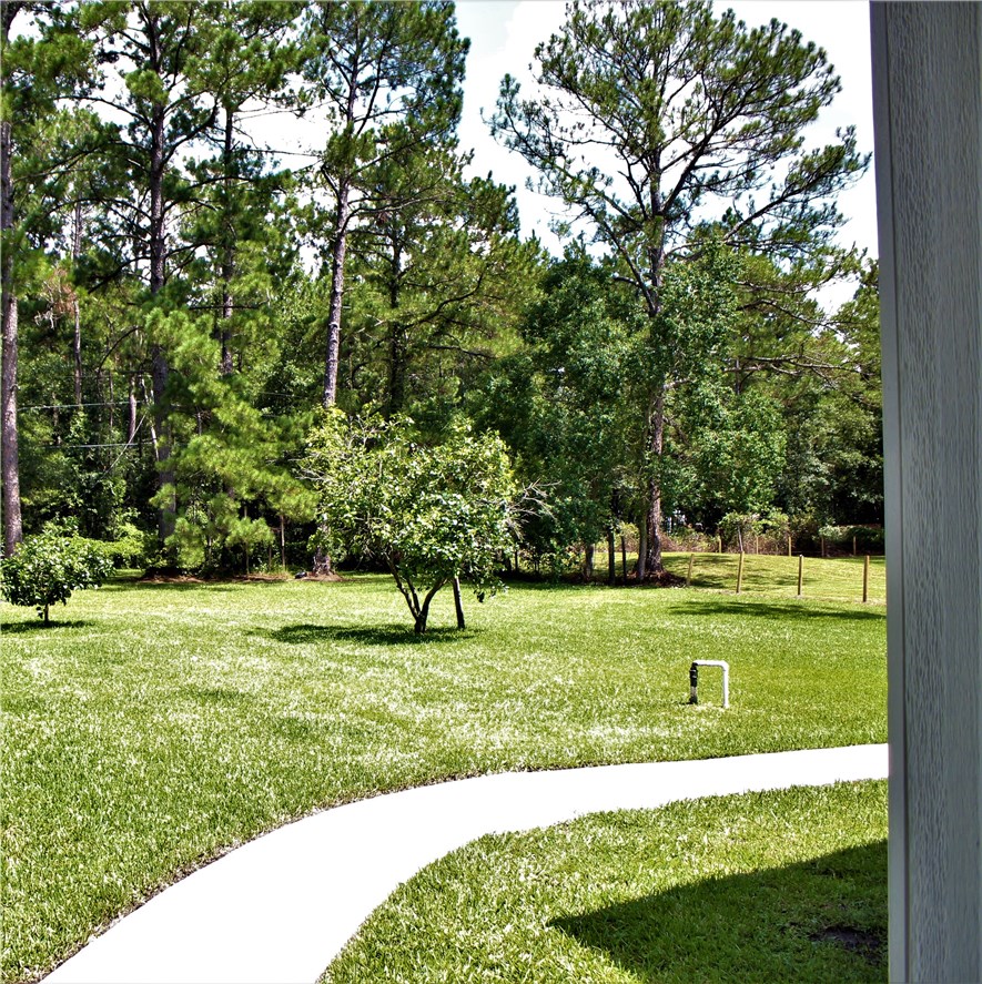 54414 Armstrong Road Callahan, FL 32011 - Photo 23 of 25 a view of grassy field with trees