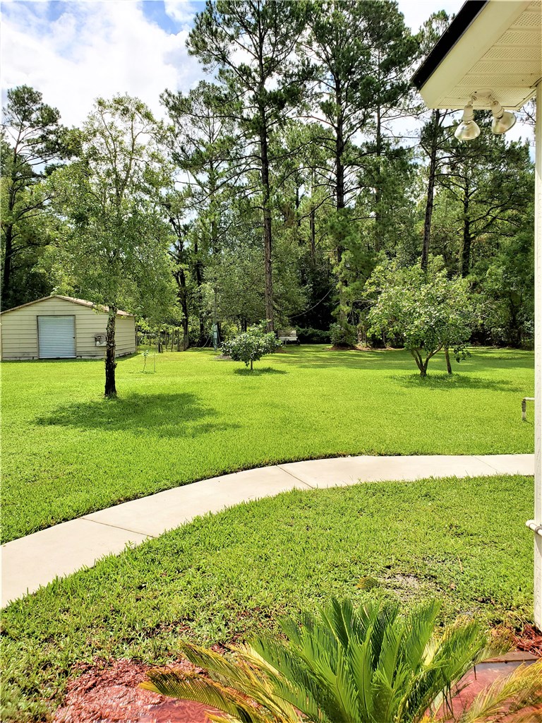 54414 Armstrong Road Callahan, FL 32011 - Photo 24 of 25 a view of a grassy field with trees