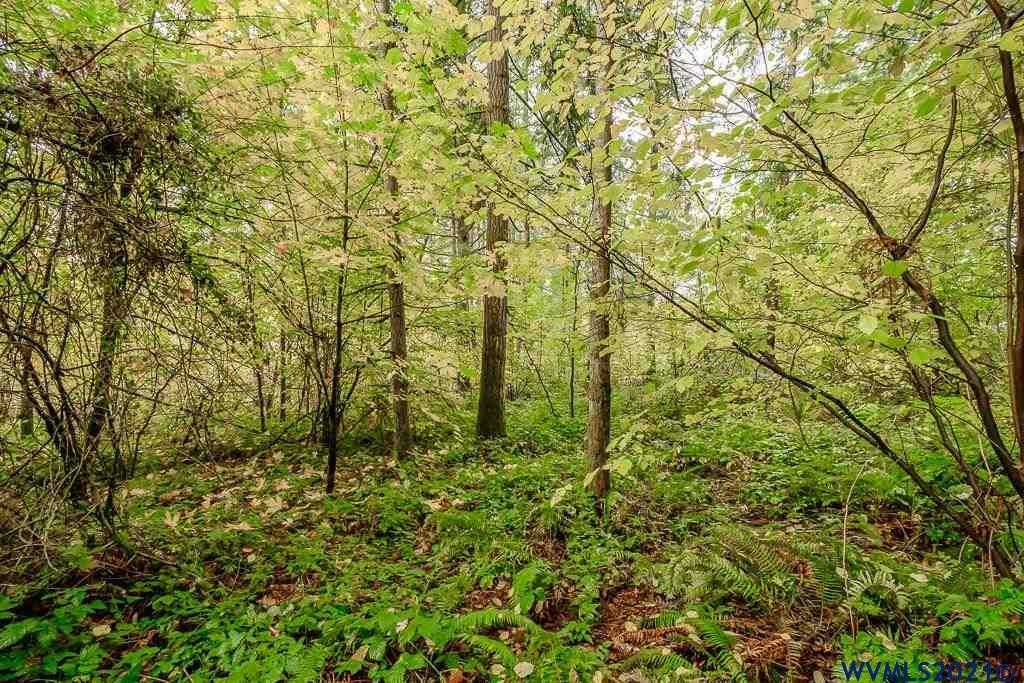 Bramblewood Lane Albany, OR 97321 - Photo 29 of 34