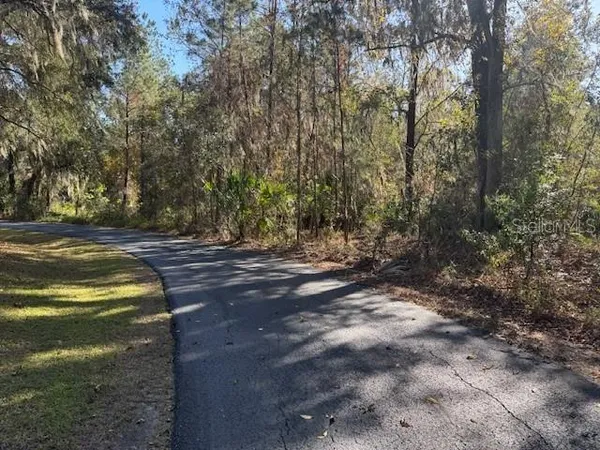 a view of a yard with trees