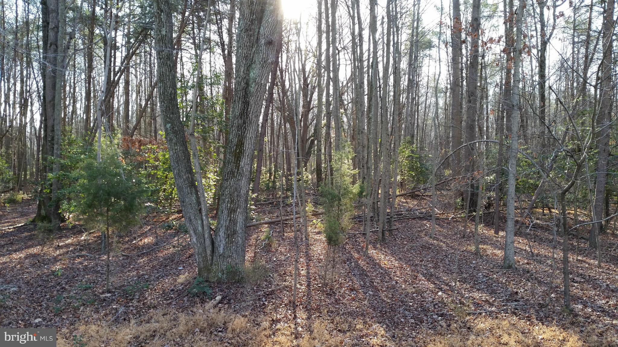 Osprey Road King George, VA 22485 - Photo 1 of 3 View