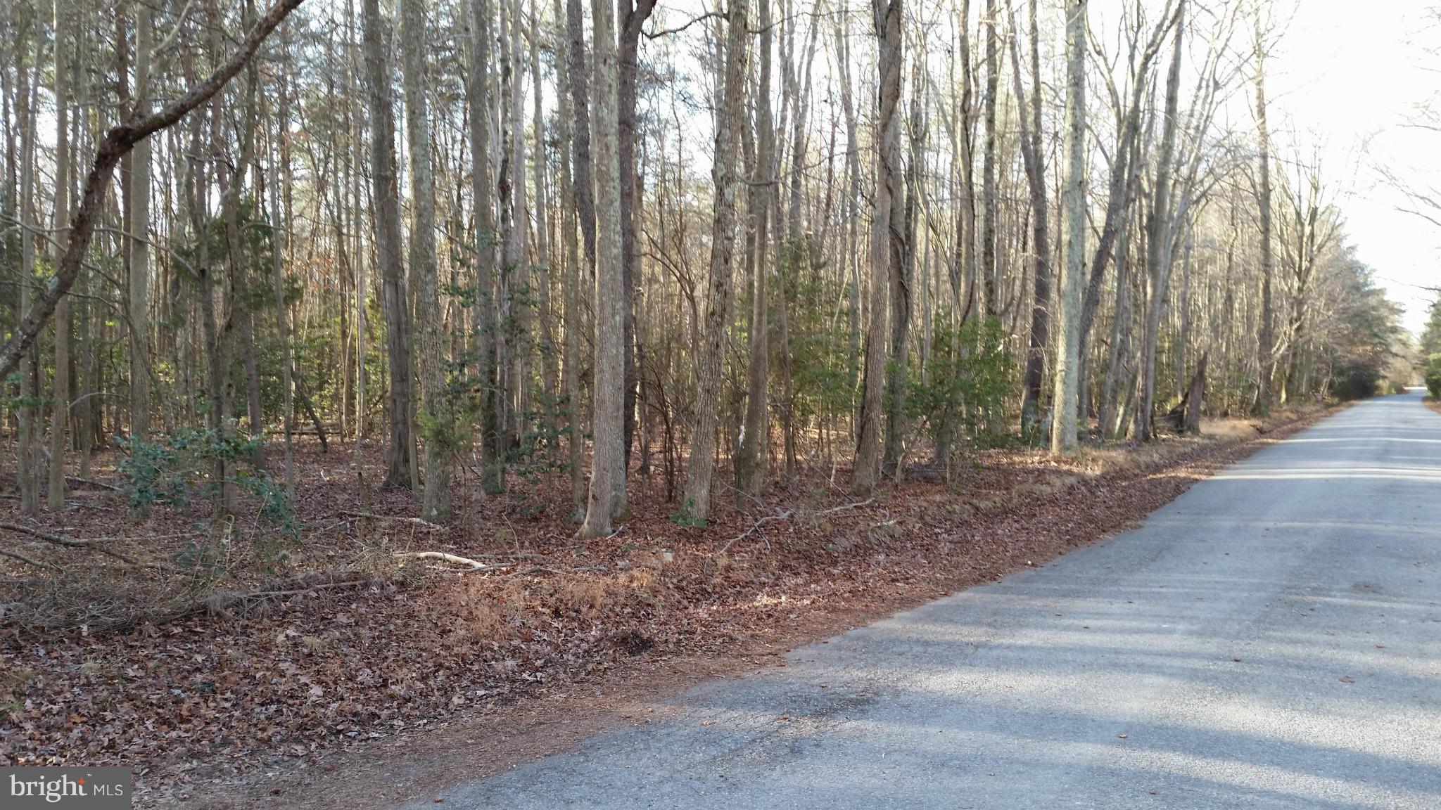 Osprey Road King George, VA 22485 - Photo 2 of 3 View
