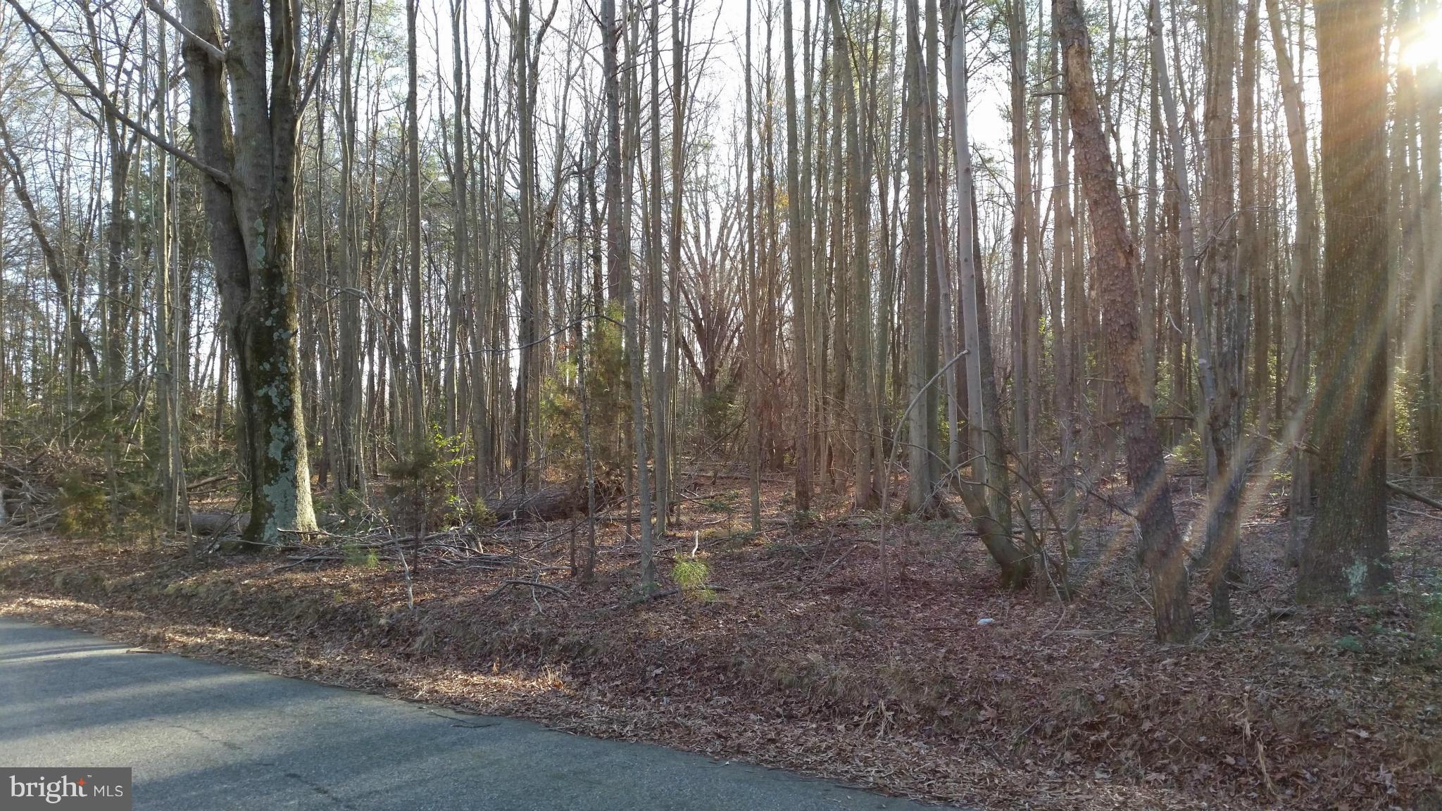 Osprey Road King George, VA 22485 - Photo 3 of 3 View