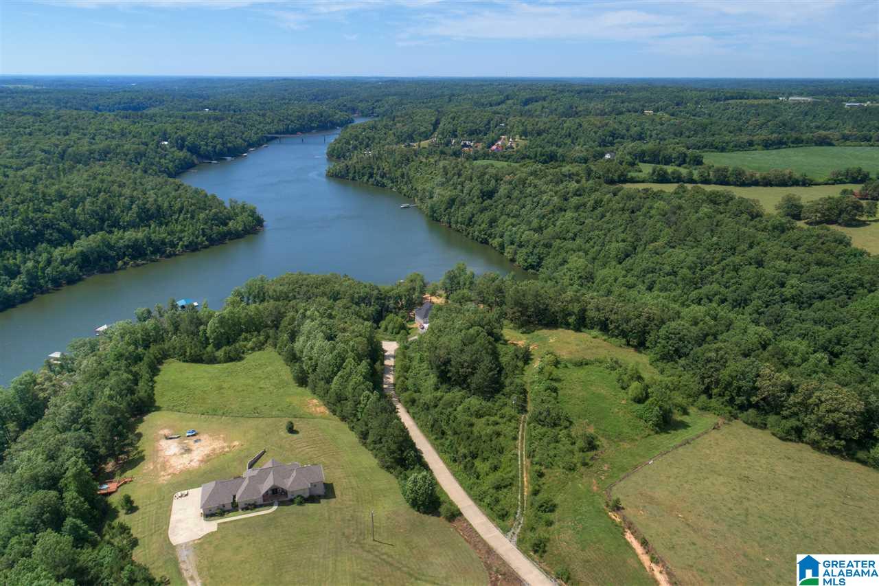 0 Ridge Drive, Unit 58 PART 54 & BOAT RAMP Arley, AL 35541 - Photo 17 of 27