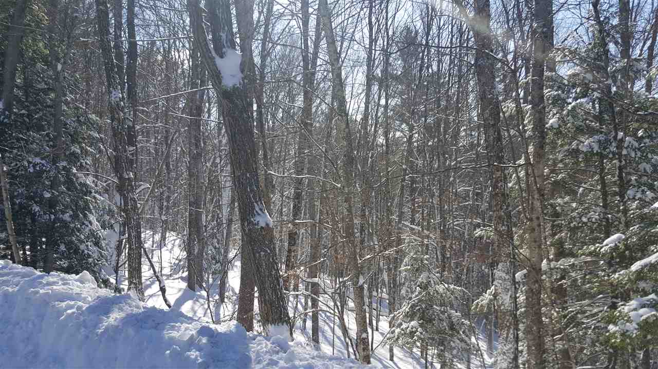 0 Bond Road Gilsum, NH 03448 - Photo 6 of 9