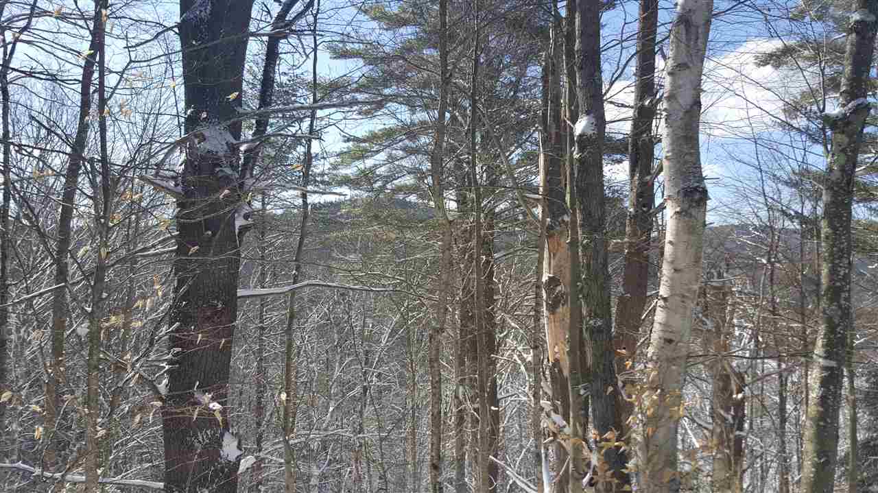 0 Bond Road Gilsum, NH 03448 - Photo 7 of 9
