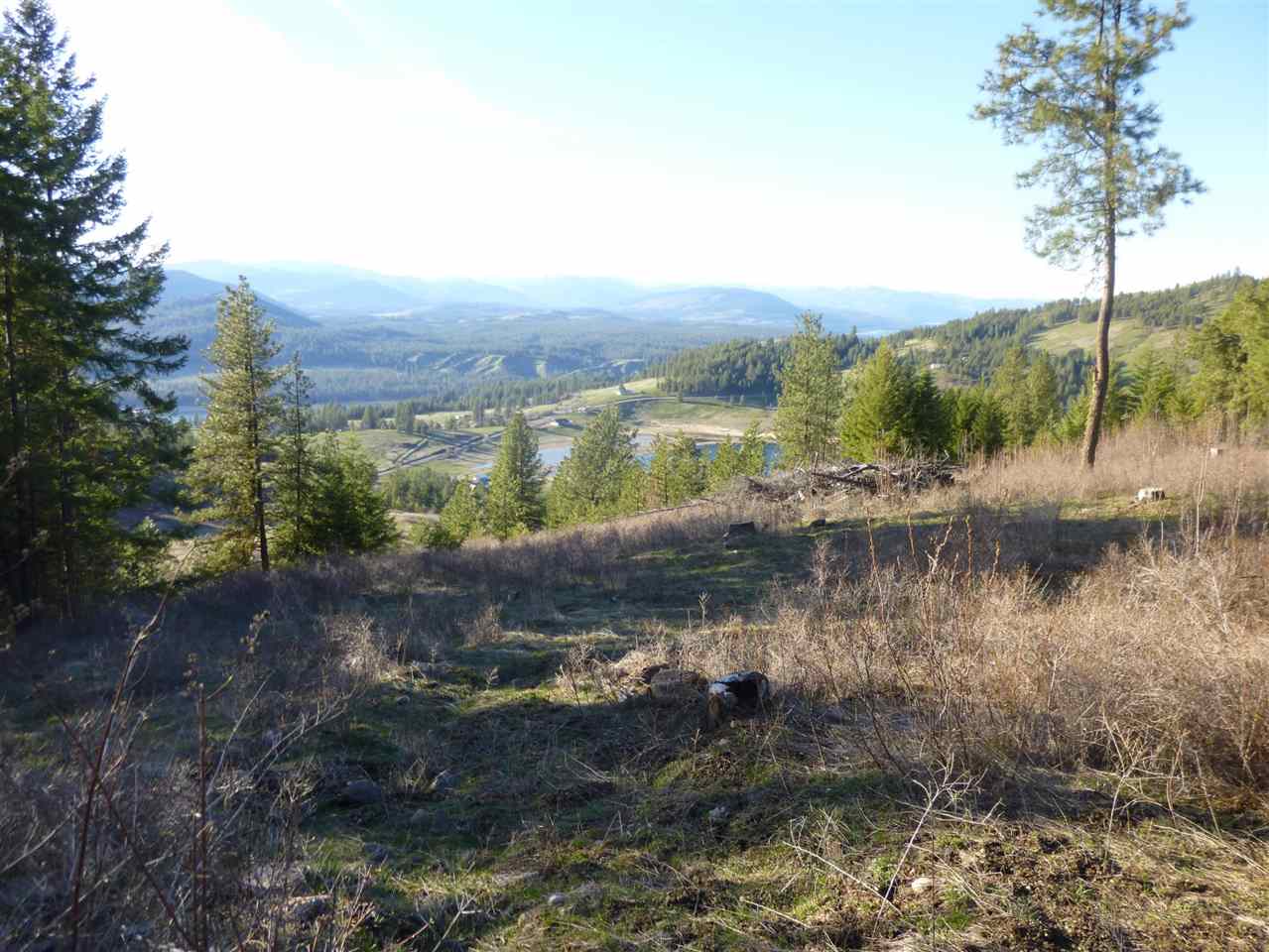 4070 Bissell Road Hunters, WA 99137 - Photo 19 of 20