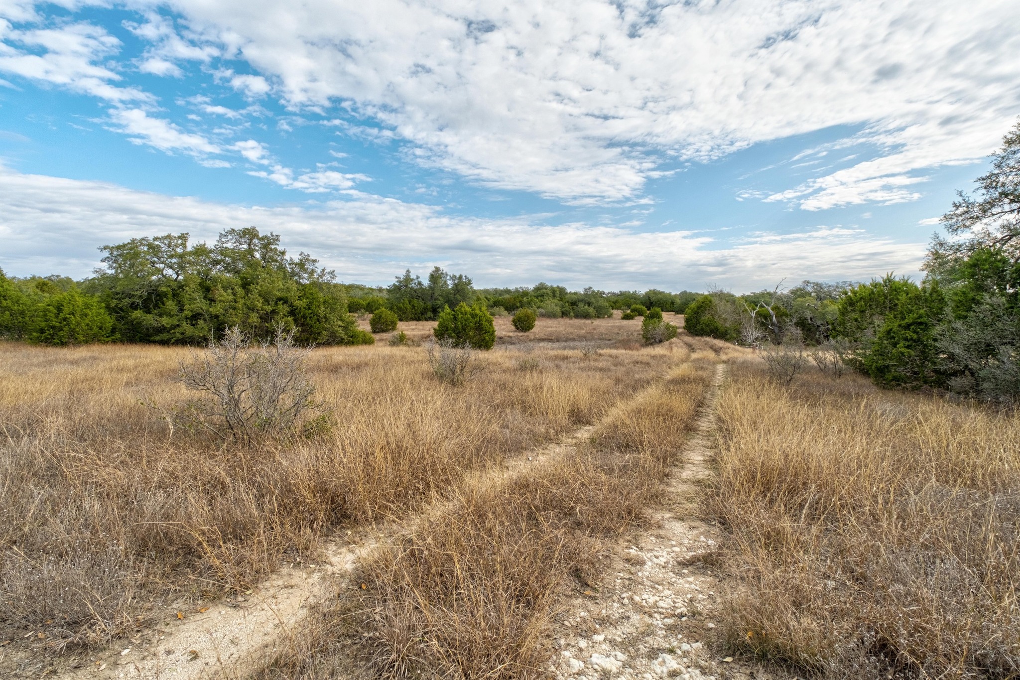 150 West Rte Driftwood Tx 78619 Route Driftwood, TX 78619 - Photo 19 of 34