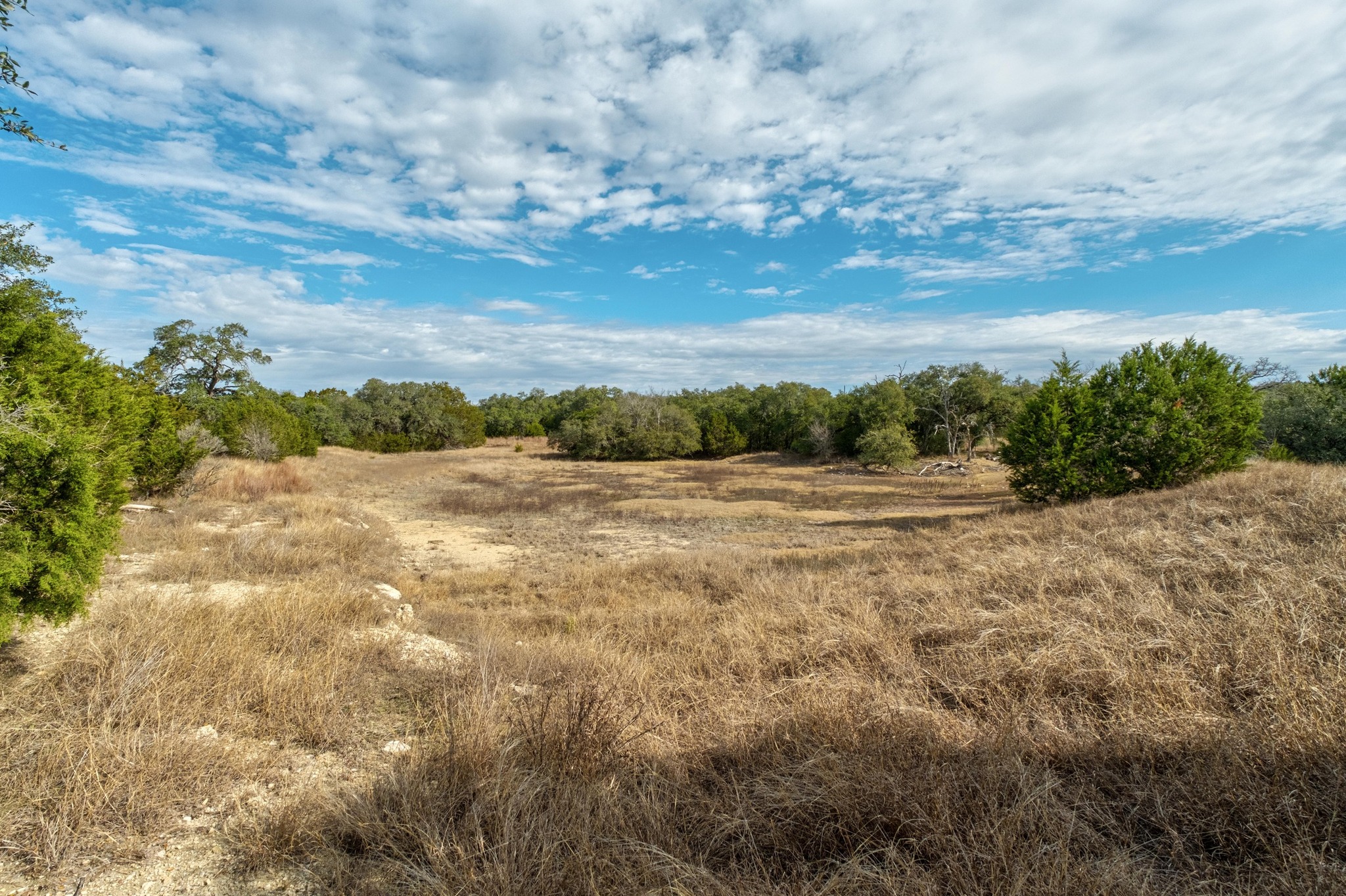 150 West Rte Driftwood Tx 78619 Route Driftwood, TX 78619 - Photo 22 of 34