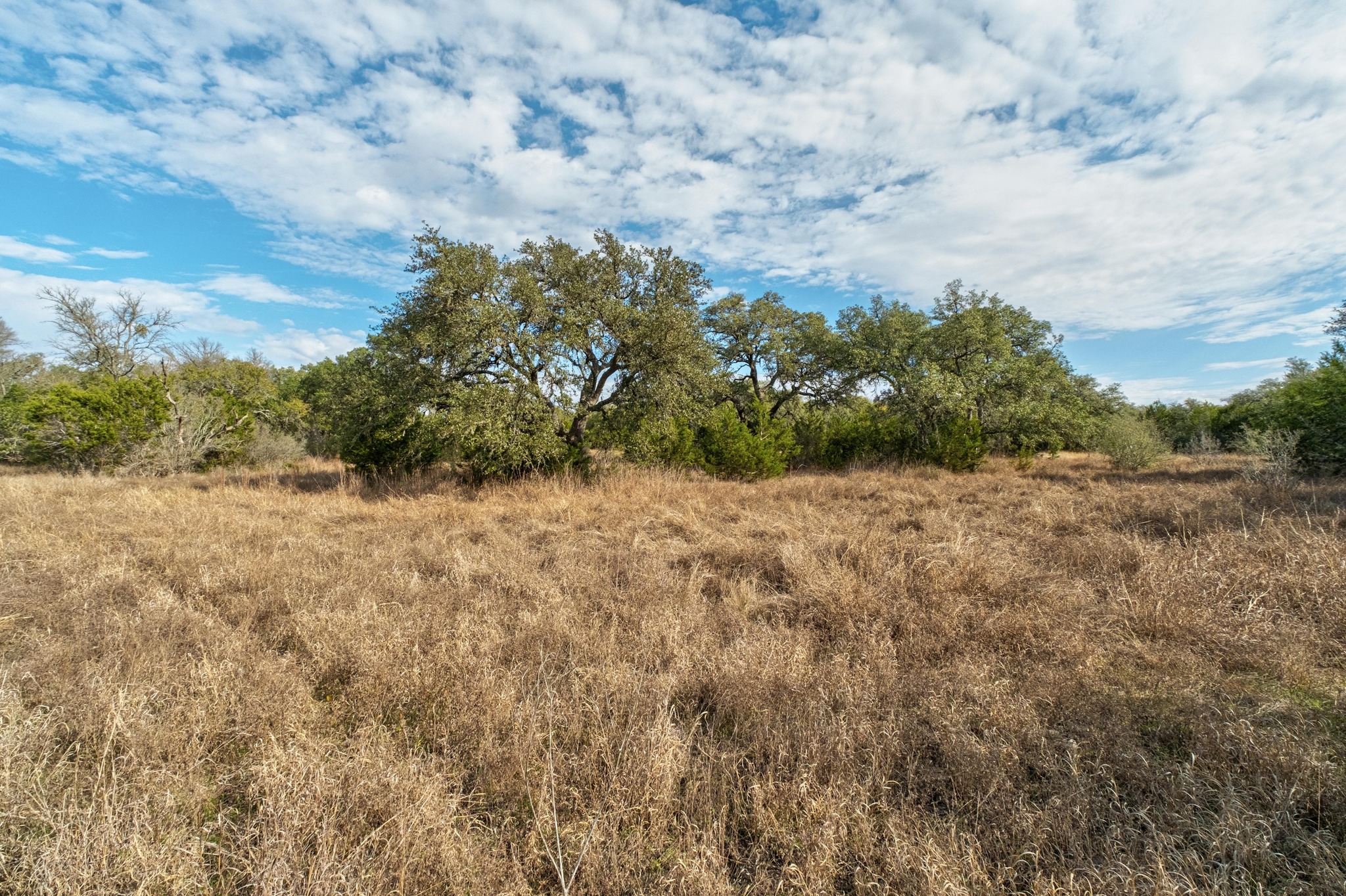 150 West Rte Driftwood Tx 78619 Route Driftwood, TX 78619 - Photo 24 of 34